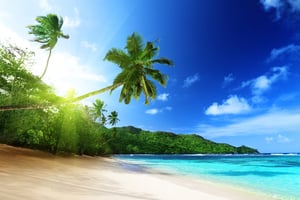 beach in sunset time on Mahe island in Seychelles-1