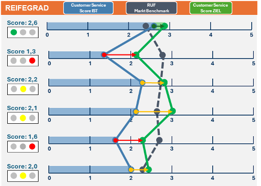Ruf Health Check Ruf Health Check